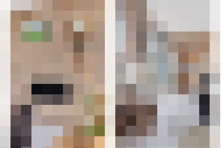 Dorpsweg 11 Oud-Vossemeer thumbnail 14