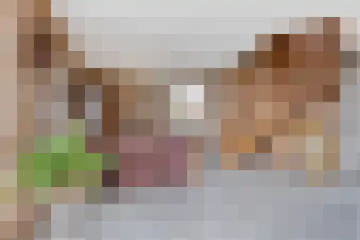 Dorpsweg 11 Oud-Vossemeer thumbnail 19
