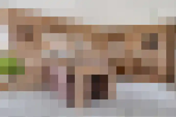 Dorpsweg 11 Oud-Vossemeer thumbnail 20
