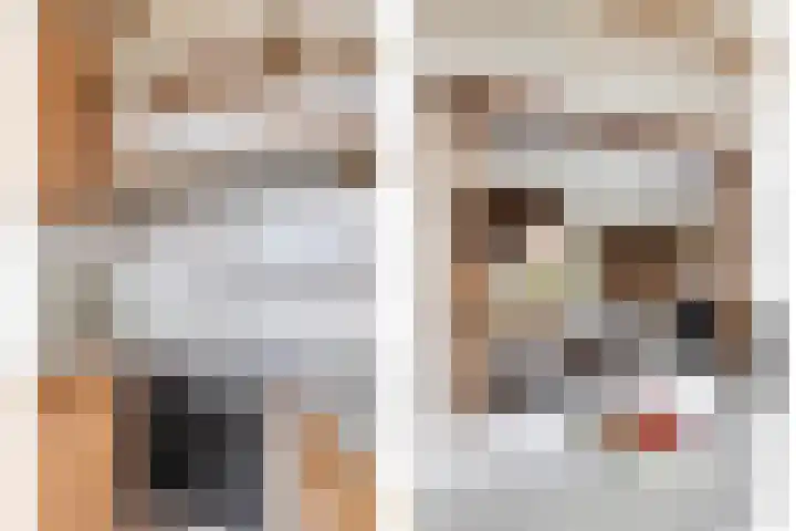 Dorpsweg 11 Oud-Vossemeer thumbnail 26