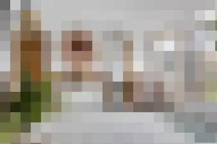 Dorpsweg 11 Oud-Vossemeer thumbnail 28