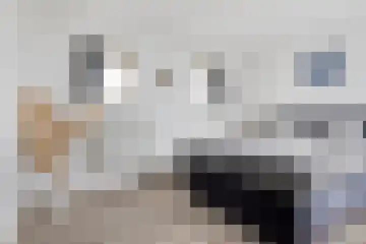 Dorpsweg 11 Oud-Vossemeer thumbnail 29