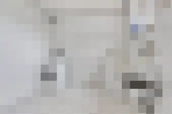 Dorpsweg 11 Oud-Vossemeer thumbnail 33