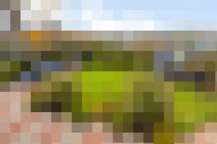 Dorpsweg 11 Oud-Vossemeer thumbnail 4
