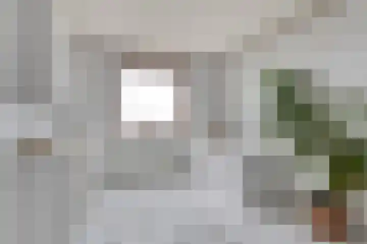 Dorpsweg 11 Oud-Vossemeer thumbnail 49