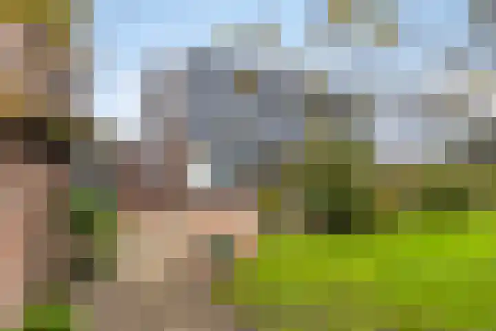 Dorpsweg 11 Oud-Vossemeer thumbnail 57