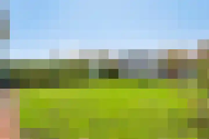 Dorpsweg 11 Oud-Vossemeer thumbnail 59