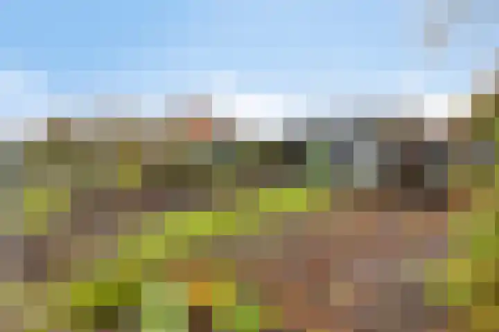 Dorpsweg 11 Oud-Vossemeer thumbnail 61