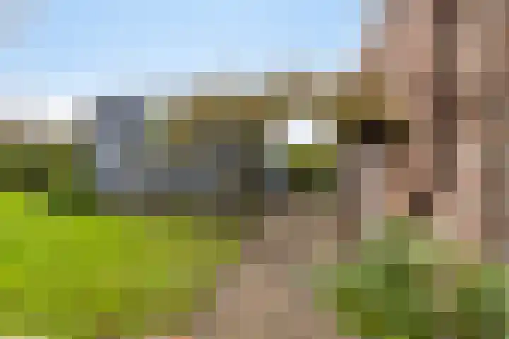 Dorpsweg 11 Oud-Vossemeer thumbnail 67