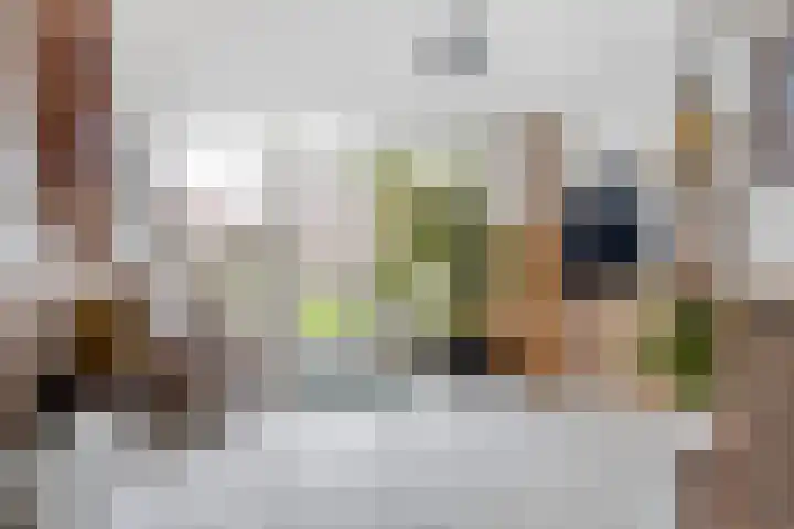 Dorpsweg 11 Oud-Vossemeer thumbnail 7