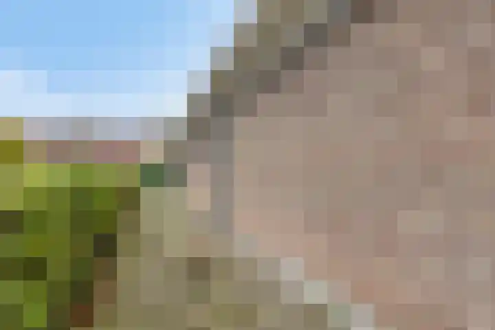 Dorpsweg 11 Oud-Vossemeer thumbnail 72