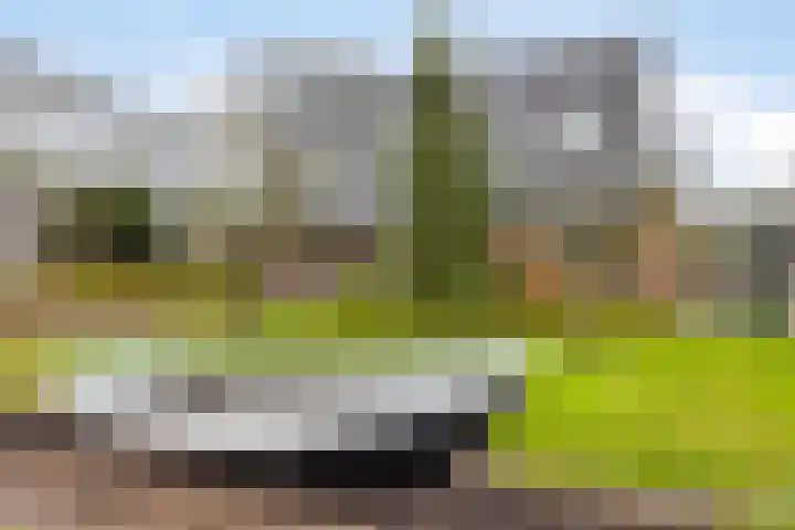Dorpsweg 11 Oud-Vossemeer thumbnail 75