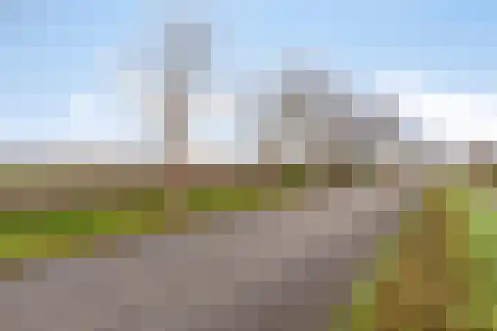 Dorpsweg 11 Oud-Vossemeer thumbnail 81