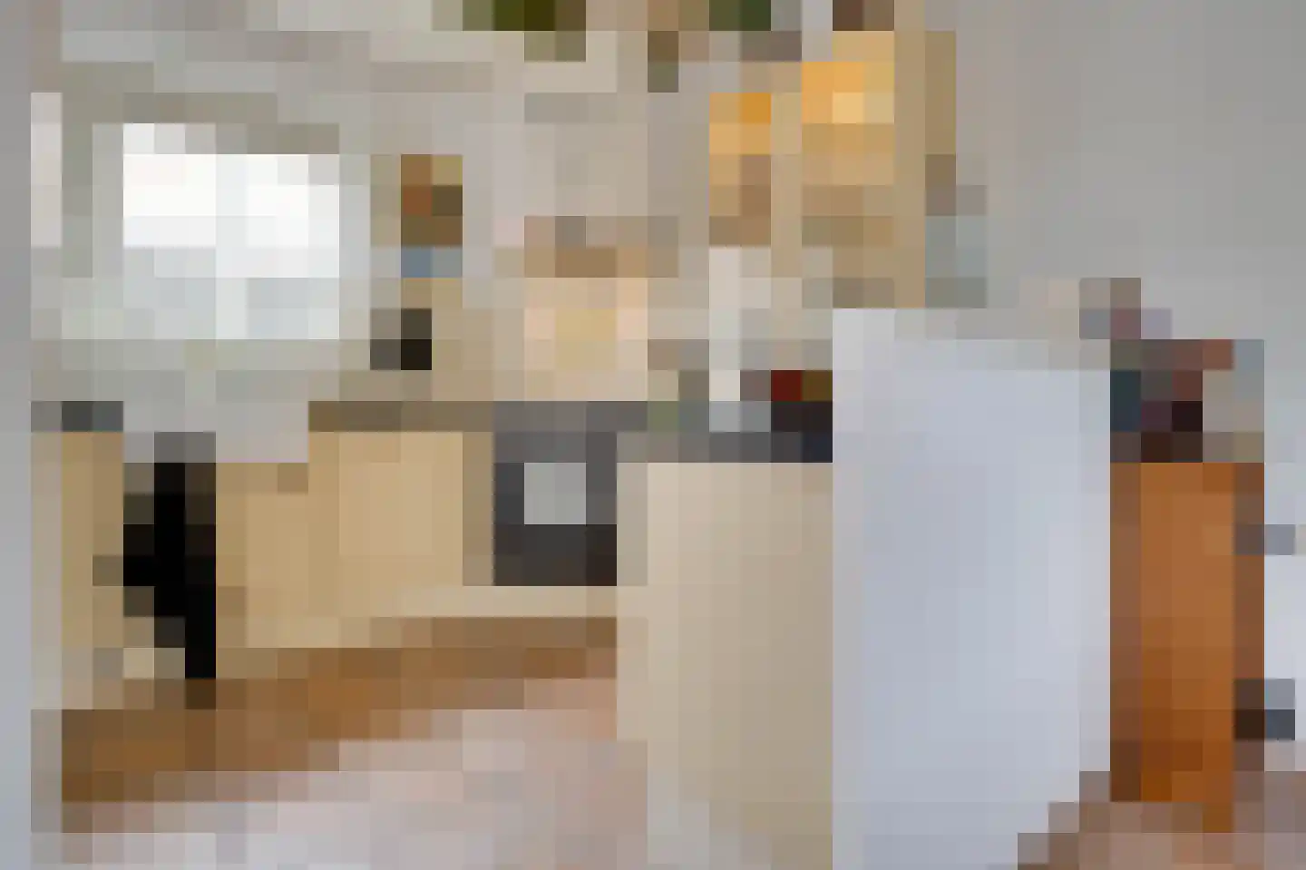 Dorpsweg 11 Ouddorp thumbnail 12