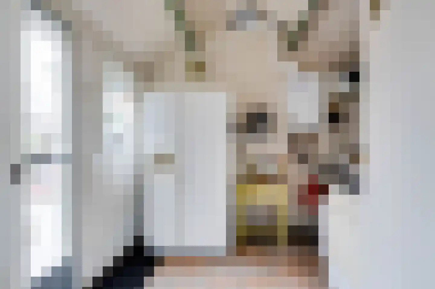Dorpsweg 11 Ouddorp thumbnail 13