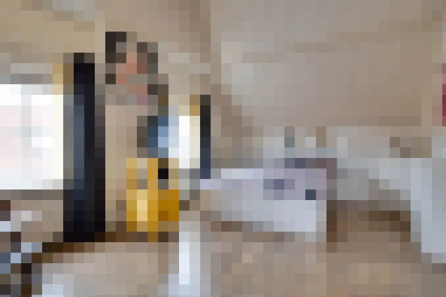 Dorpsweg 11 Ouddorp thumbnail 16