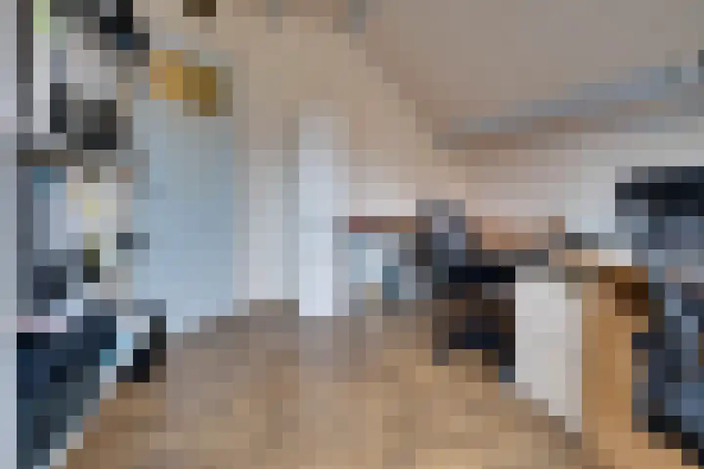 Dorpsweg 11 Ouddorp thumbnail 23