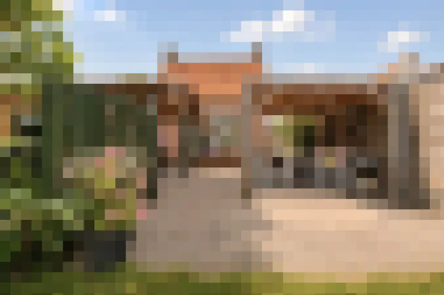 Dorpsweg 11 Ouddorp thumbnail 26