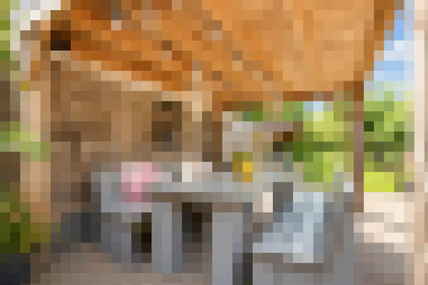 Dorpsweg 11 Ouddorp thumbnail 27