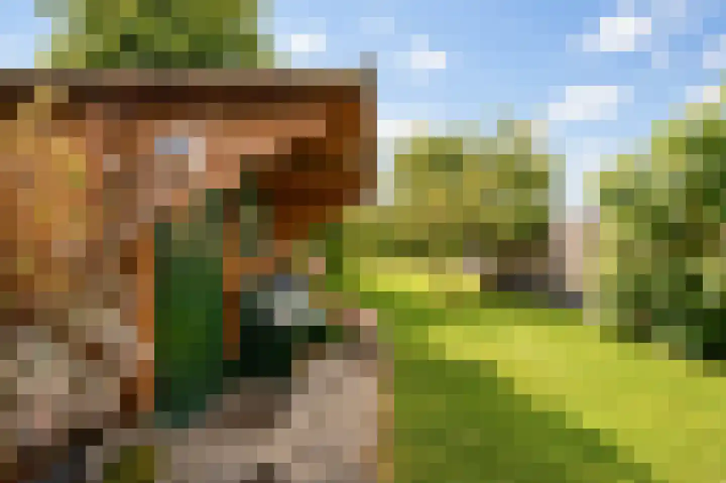 Dorpsweg 11 Ouddorp thumbnail 28