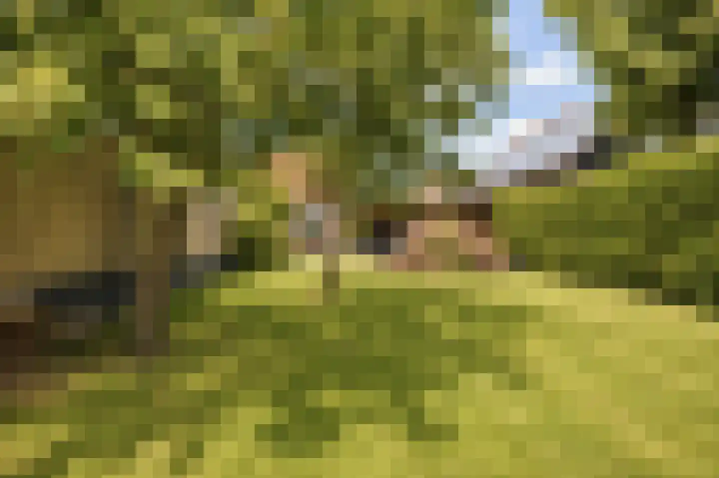 Dorpsweg 11 Ouddorp thumbnail 31