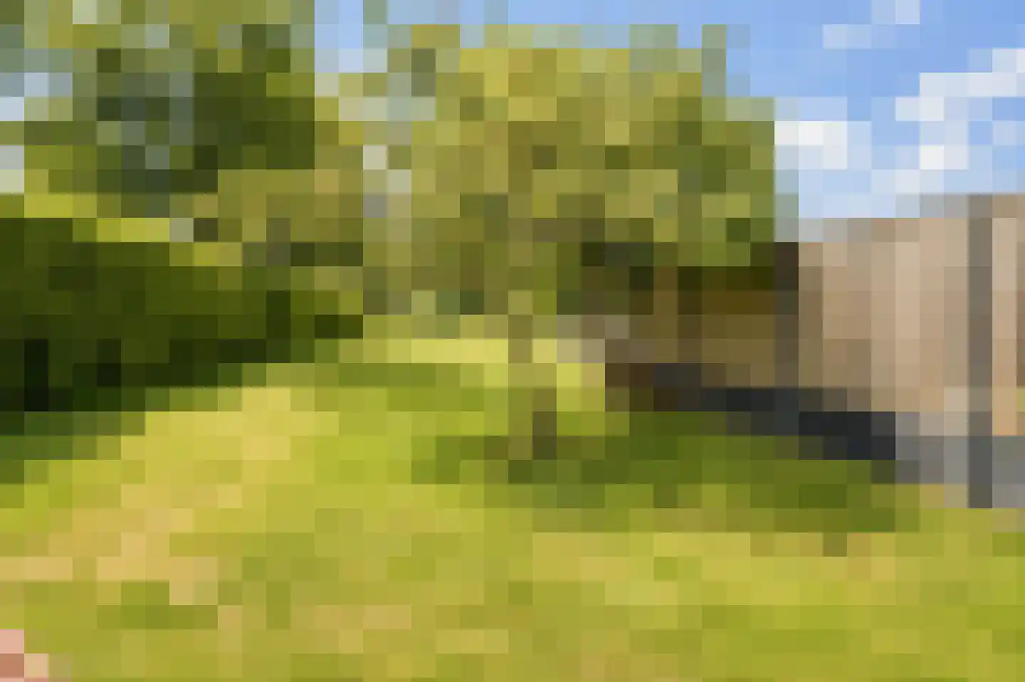 Dorpsweg 11 Ouddorp thumbnail 32