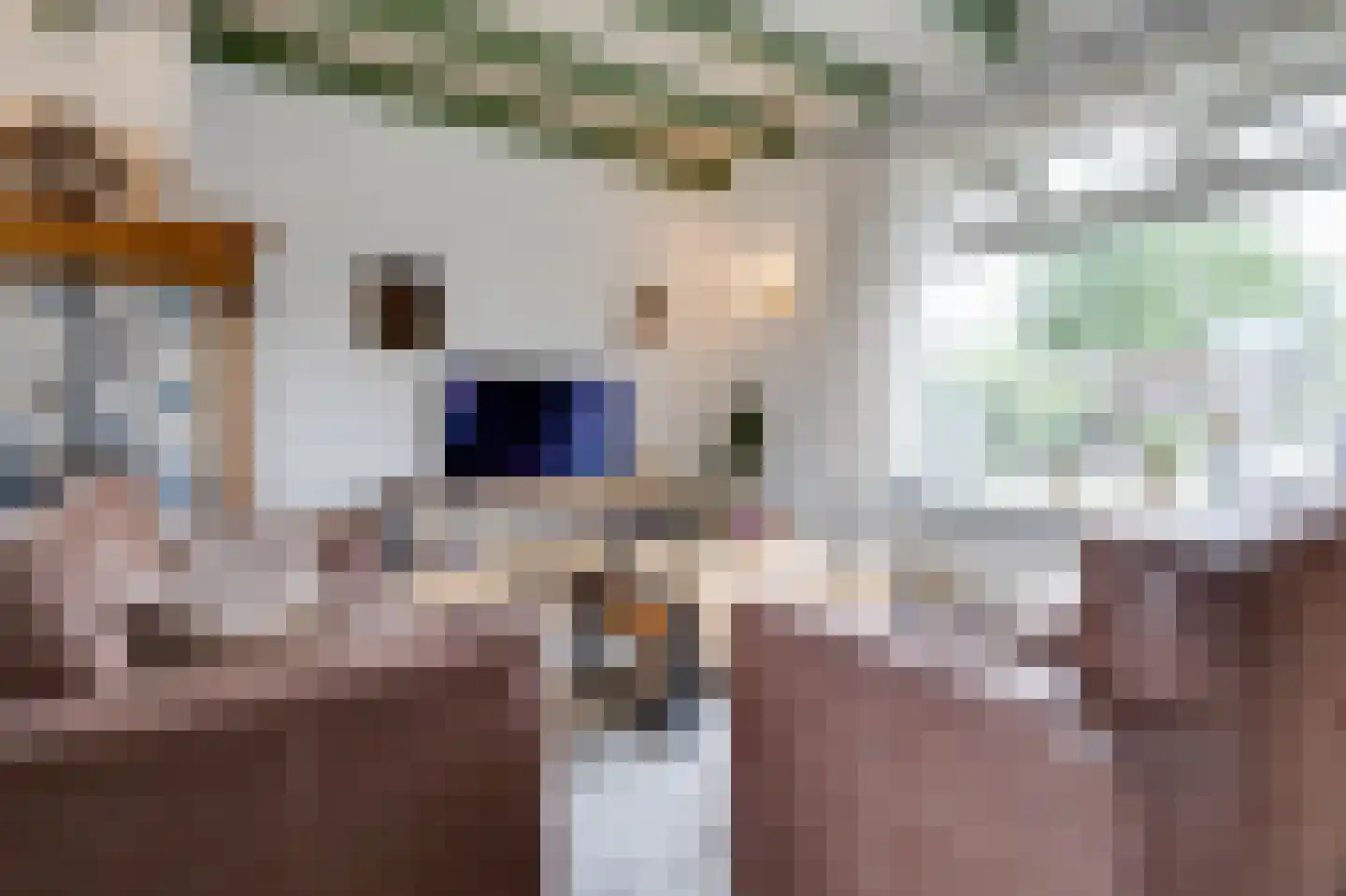 Dorpsweg 11 Ouddorp thumbnail 4
