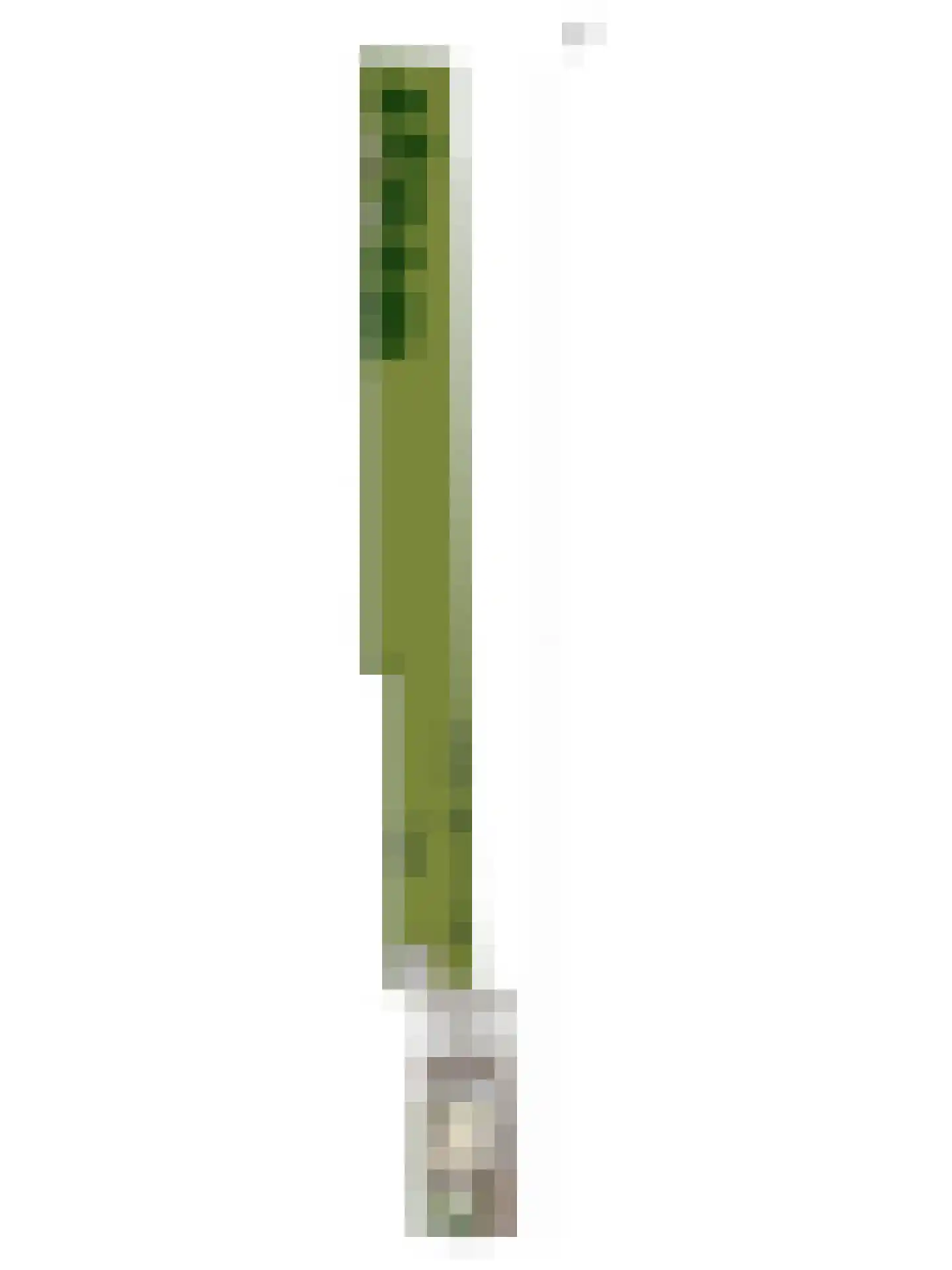 Dorpsweg 11 Ouddorp thumbnail 42