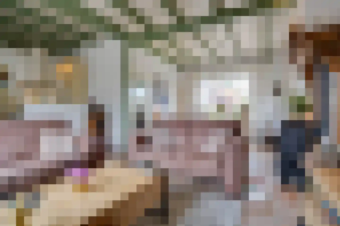 Dorpsweg 11 Ouddorp thumbnail 7