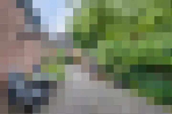 Dorpsweg 11 Spankeren thumbnail 20