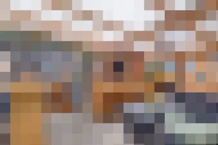 Dorpsweg 11 Spankeren thumbnail 23