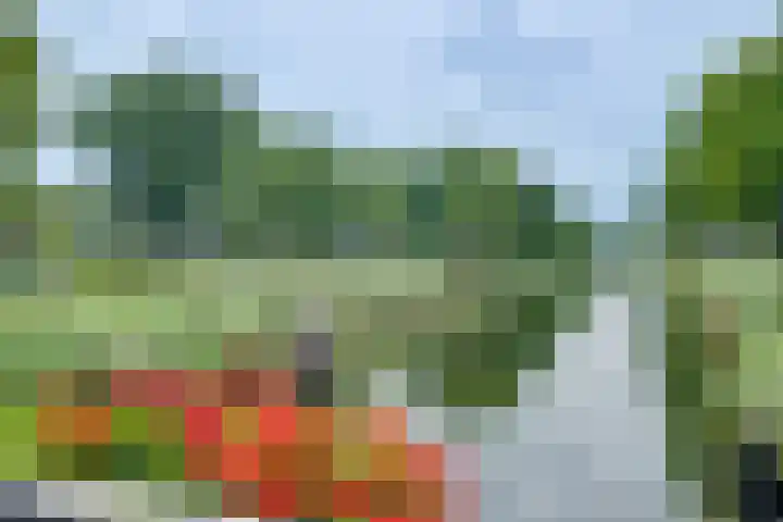 Dorpsweg 11 Spankeren thumbnail 34