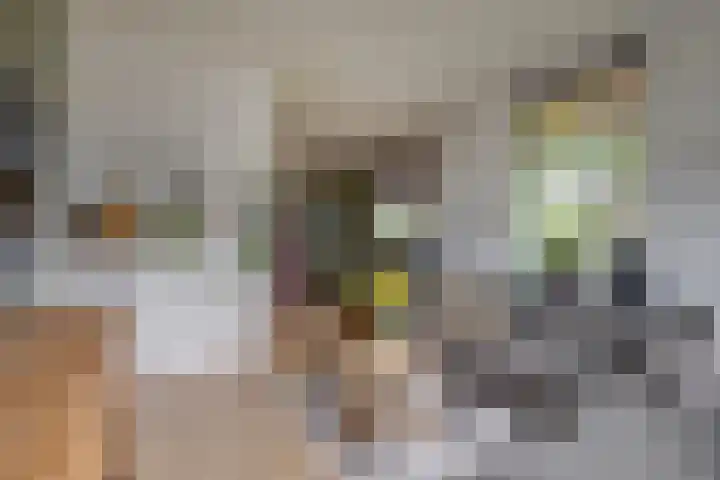 Dorpsweg 11 Spankeren thumbnail 4