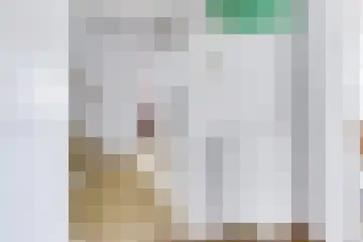 Dorpsweg 11 Zijderveld thumbnail 37