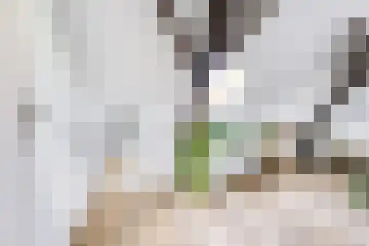 Dorpsweg 11 Zijderveld thumbnail 49