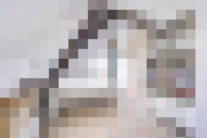 Dorpsweg 11 Zijderveld thumbnail 51