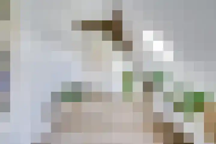 Dorpsweg 11 Zijderveld thumbnail 54