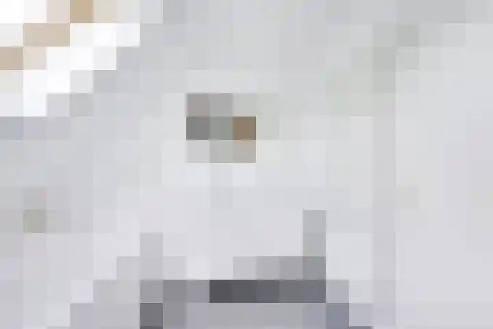Dorpsweg 11 Zijderveld thumbnail 57