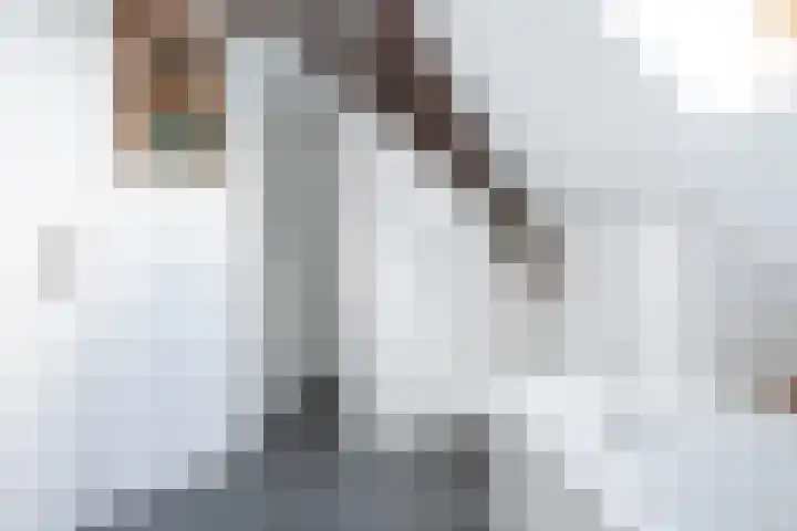 Dorpsweg 11 Zijderveld thumbnail 58