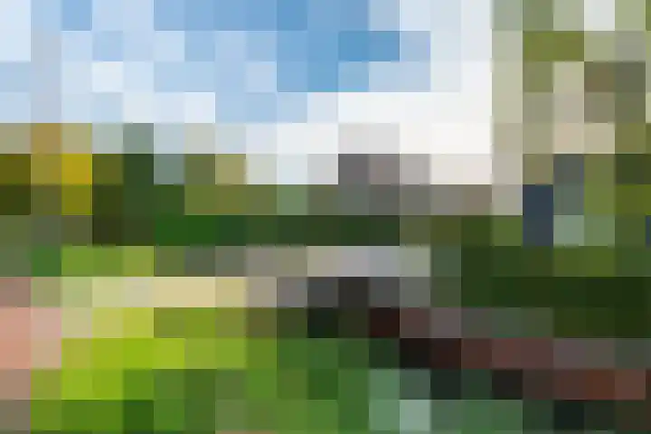 Dorpsweg 11 Zijderveld thumbnail 68