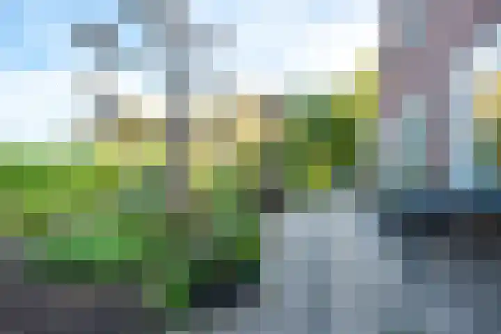 Dorpsweg 11 Zijderveld thumbnail 72