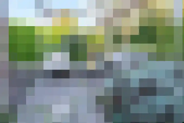 Dorpsweg 11 Zijderveld thumbnail 75