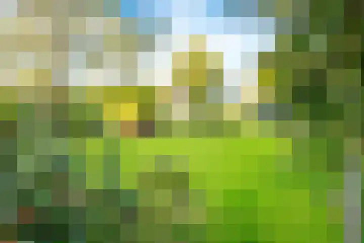 Dorpsweg 11 Zijderveld thumbnail 77