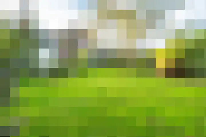 Dorpsweg 11 Zijderveld thumbnail 78