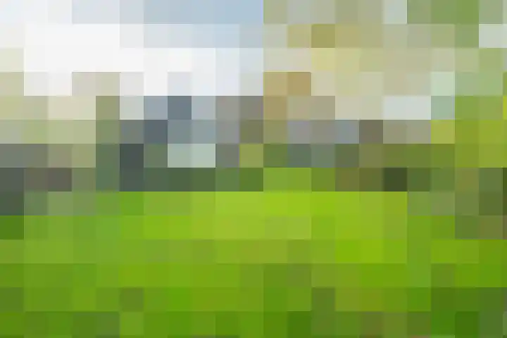 Dorpsweg 11 Zijderveld thumbnail 79