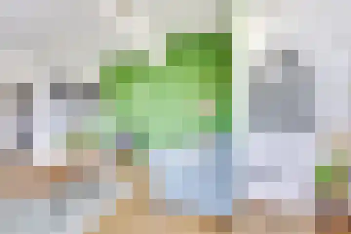 Dorpsweg 11 Zijderveld thumbnail 8