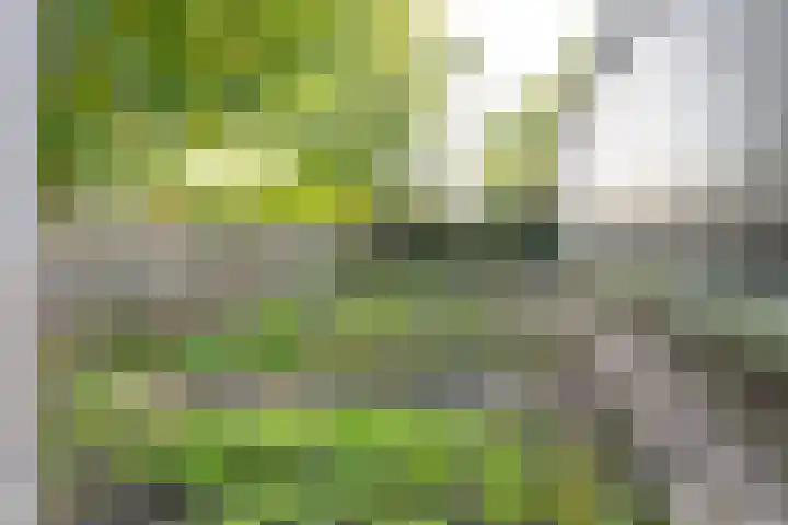 Dorpsweg 11 Zijderveld thumbnail 81