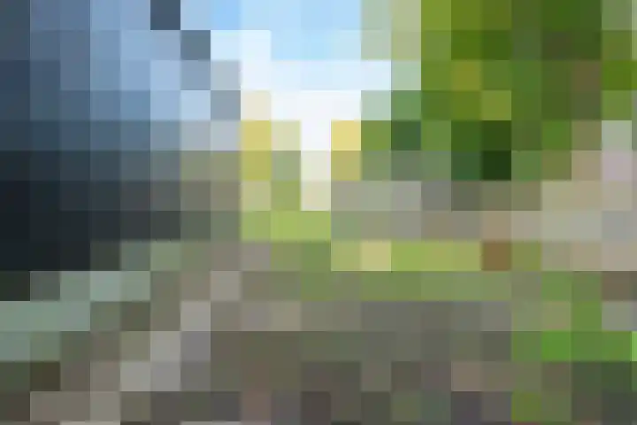 Dorpsweg 11 Zijderveld thumbnail 82
