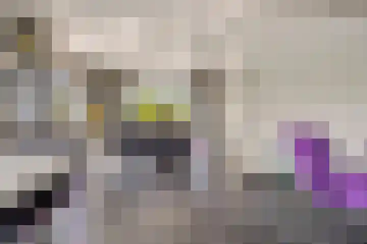 Dorpsweg 117 Hoogblokland thumbnail 10