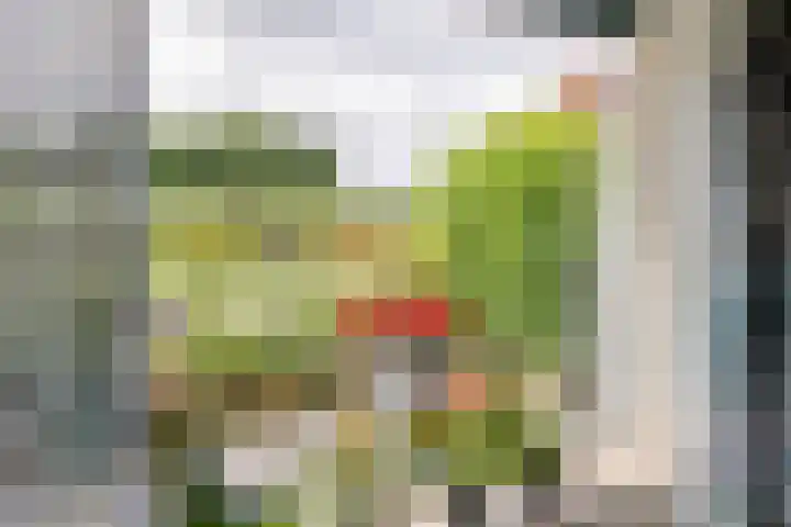 Dorpsweg 117 Hoogblokland thumbnail 11